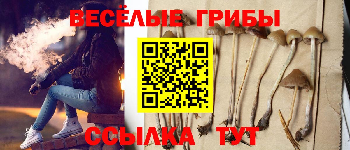 Галлюциногенные грибы MAGIC MUSHROOMS Чехов