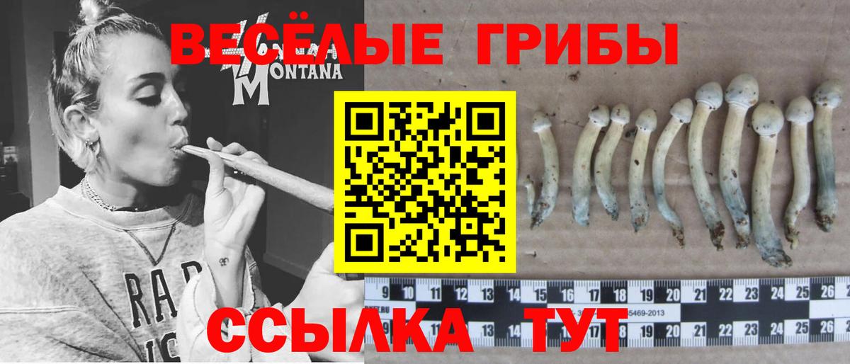 Галлюциногенные грибы мицелий  Вход с VPN  Чехов  Галлюциногенные грибы Magic Shrooms 